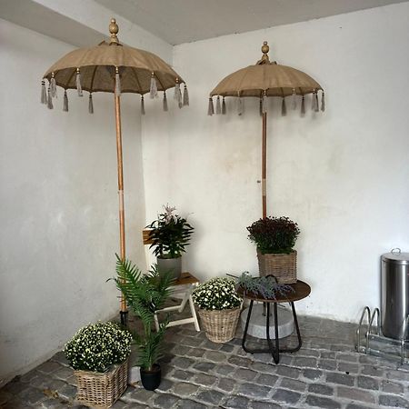 Gemuetlich & Einzigartig: Altbauloft In Edenkoben Apartment Exterior photo